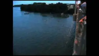 Bat Bridge