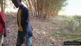 Platna (Comedy) Kwiyemera