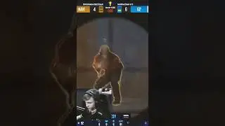 m0NESY ☠️ Клатч против Navi