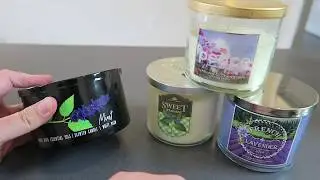Mint Natural Elements Candle Review | Bath & Body Works White Barn