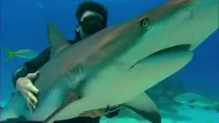 Sharkwater Extinction Rob Stewart Hugging Shark