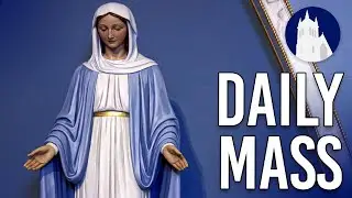 Daily Mass LIVE at St. Mary&rsquo;s | February 11, 2026