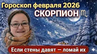 СКОРПИОН  Гороскоп февраля 2026. Революция в домашнем тапочке: От ремонта до роковой любви