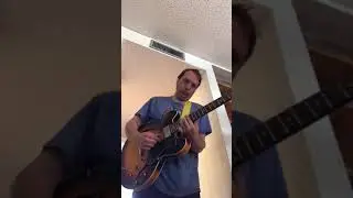 Tera Echo Improv (Boss TE2)