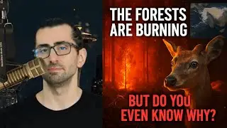 What Causes Wildfires? The Deadly Science Behind Earth&rsquo;s Most Destructive Fires