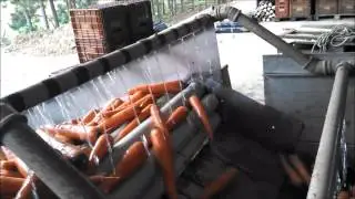 Lavador de cenouras