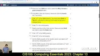 CIS105: 4/24/25: SIMnet Access Guided Project 4-3
