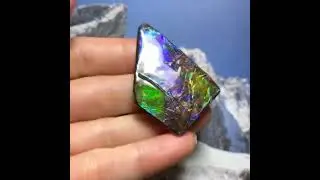 What Is Ammolite? Discover Canada's Rare Rainbow Gemstone #fossil #ammolite #gemstone #ammonite