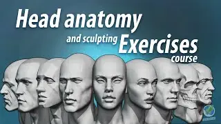 Head anatomy and sculpting exercises course promo