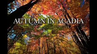 Autumn in Acadia: 4K Timelapse of Acadia National Park, Maine