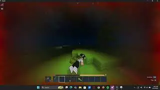Funny Hytale bug