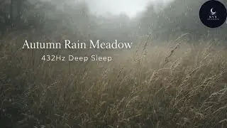 Autumn Meadow Rain Ambience &ndash; Gentle Wind & Birds | 432Hz Deep Sleep (10 Hours)