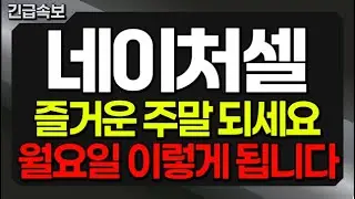 [네이처셀 주가전망] FDA RMAT 지정의 힘! 네이처셀, 2026년 미국 시장 정복하고 시총 5조 원 뚫는다