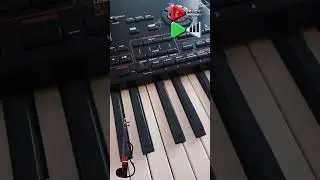 Brma Set Live 2024 Uskoro novi semplovi #music #keyboard #korg #brma #korgpa4x #piano