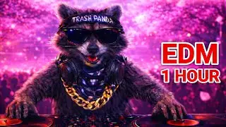🦝 Beast Mode EDM Workout Mix 1 Hour+ | Bass Boosted 🔥