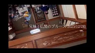 兄妹（仏間のブルース2025/12/28）LIVE at きっかのばあちゃん家