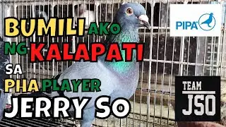 Bumili ako ng kalapati kay Idol Jerry So!!! #clementefamilyloft #kalapatids