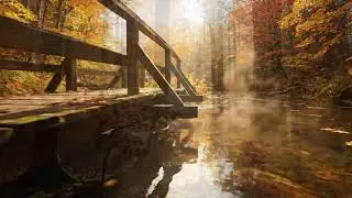 Gentle Piano and Violin 🍁 Autumn Background Music for Focus for Peaceful Moments