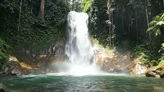Ecoterapia A Terapia Verde