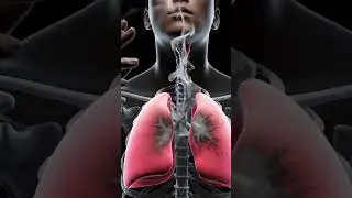 Smoke Kills Slowly | Silent Lung Killer