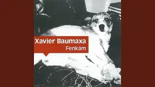 Kultura je plná kultů