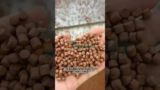 Darin Fish Feed Pellet Extruder Twin Screw Extruder Machine #fishfeedmachine #fishfeedmakingmachine