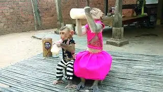 Princess Shally Monkey Welcome Feeding With A Little Bede