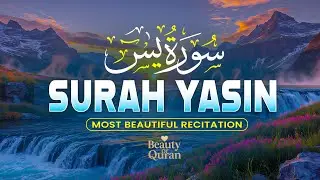 Surah Yaseen سورة يس | Relaxing Quran for Deep Reflection, Healing & Serenity by Alaa Aqel #yasin