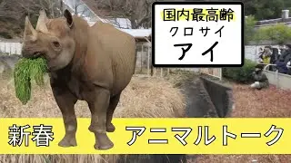 国内最高齢のクロサイ『アイ』はとっても元気！新春アニマルトーク【東山動植物園】