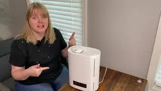 BREEZOME Humidifier Review