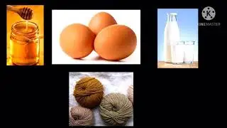 Animal Products