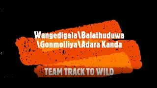 Wangedigala| Balathuduwa| Gonmolliya| Adara Kanda Camping Vlog