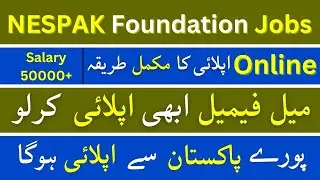 NESPAK Jobs 2023 Apply Online | National Engineering Services Pakistan  Jobs 2023 | How to Apply