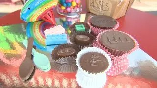 Chicago's Best Family Friendly Spots Show Opening