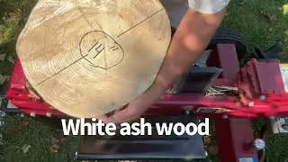 BOSS 18 ton electric log splitter.