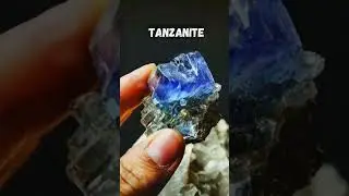 Nature&rsquo;s Masterpiece, Timelessly Preserved!
