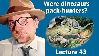 Were dinosaurs pack-hunters?