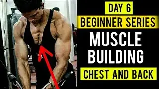 | DAY 6 | Beginners Series | Muscle Building | Yash Anand