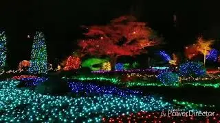 Outdoor Christmas Decorations: The Butchart Gardens in Victoria, Canada