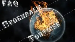 Как пробить? Tortoise. (Тортик).