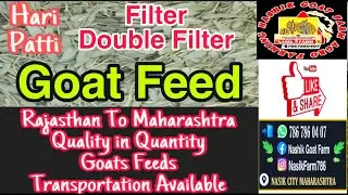 Nashik Goat Farm | Goat Feed | Hari Patti | Fresh Hari Patti | Goat Farm | Minimum Order 1 Ton |