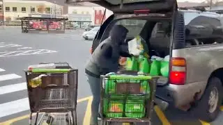 Thieves Steal $1,600 Worth of Paper Towels and Detergent