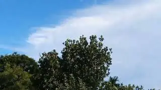 #youtube #videos #trending #viral #blue #sky #nature #lovesong #happy #explore #funny 