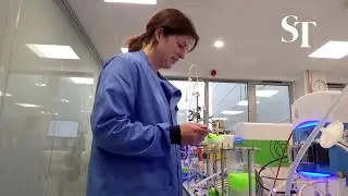 &lsquo;Plastic-eating&rsquo; enzymes help recycle clothing