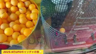 なんと！なんと！一発！奇跡！