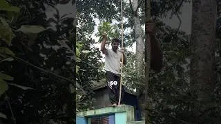 From Tree to Taste &ndash; A Real Village Experience in Bangladesh 🇧🇩 #shorts