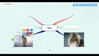 ADD IMAGE TO YPUR MIND MAP