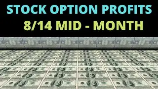 Stock Options Update : Stock Market Profit Report  - TLRY, NNDM, SPCE, ATOS, COIN, SOFI, PLTR Stock