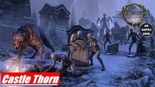 ESO Gameplay 2022 (PC) Dungeons Castle Thorn [4K 60FPS HDR]