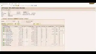 My work SAP (Systems, Applications, and Products in Data Processing)software&nbsp;....